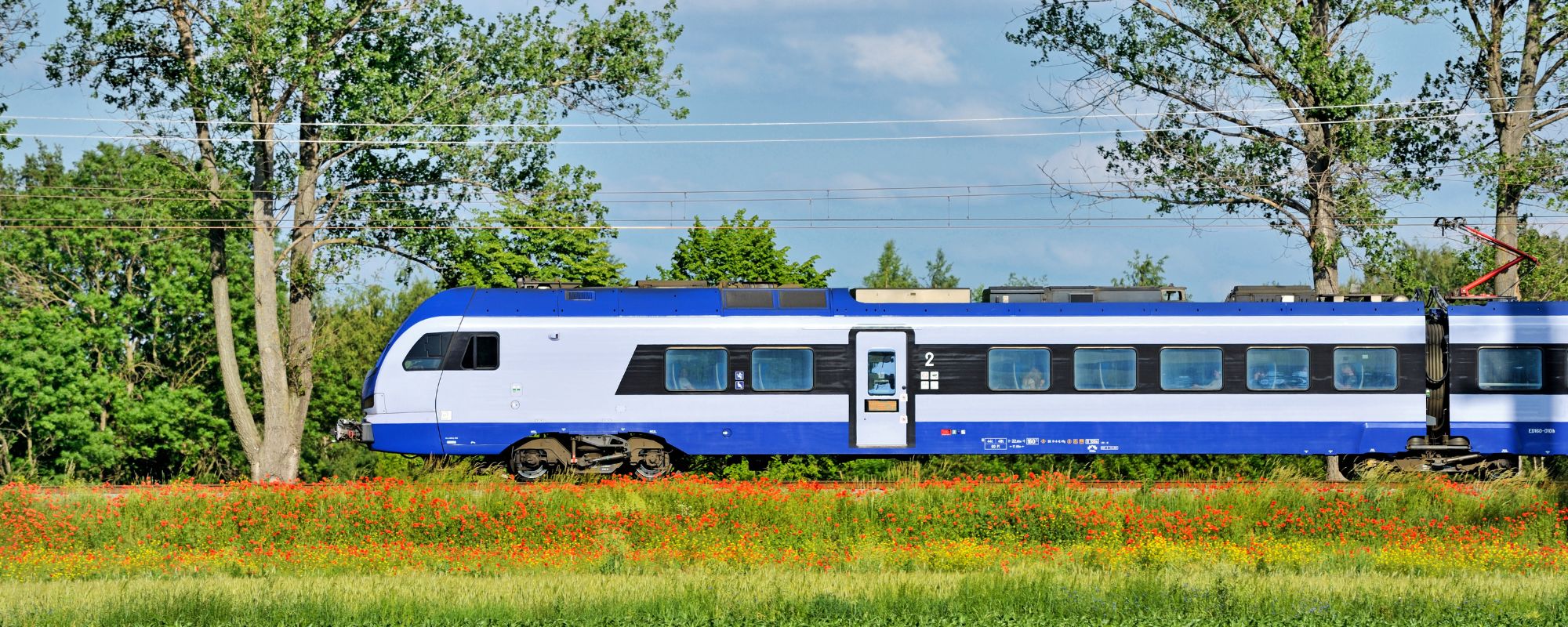Etude Train